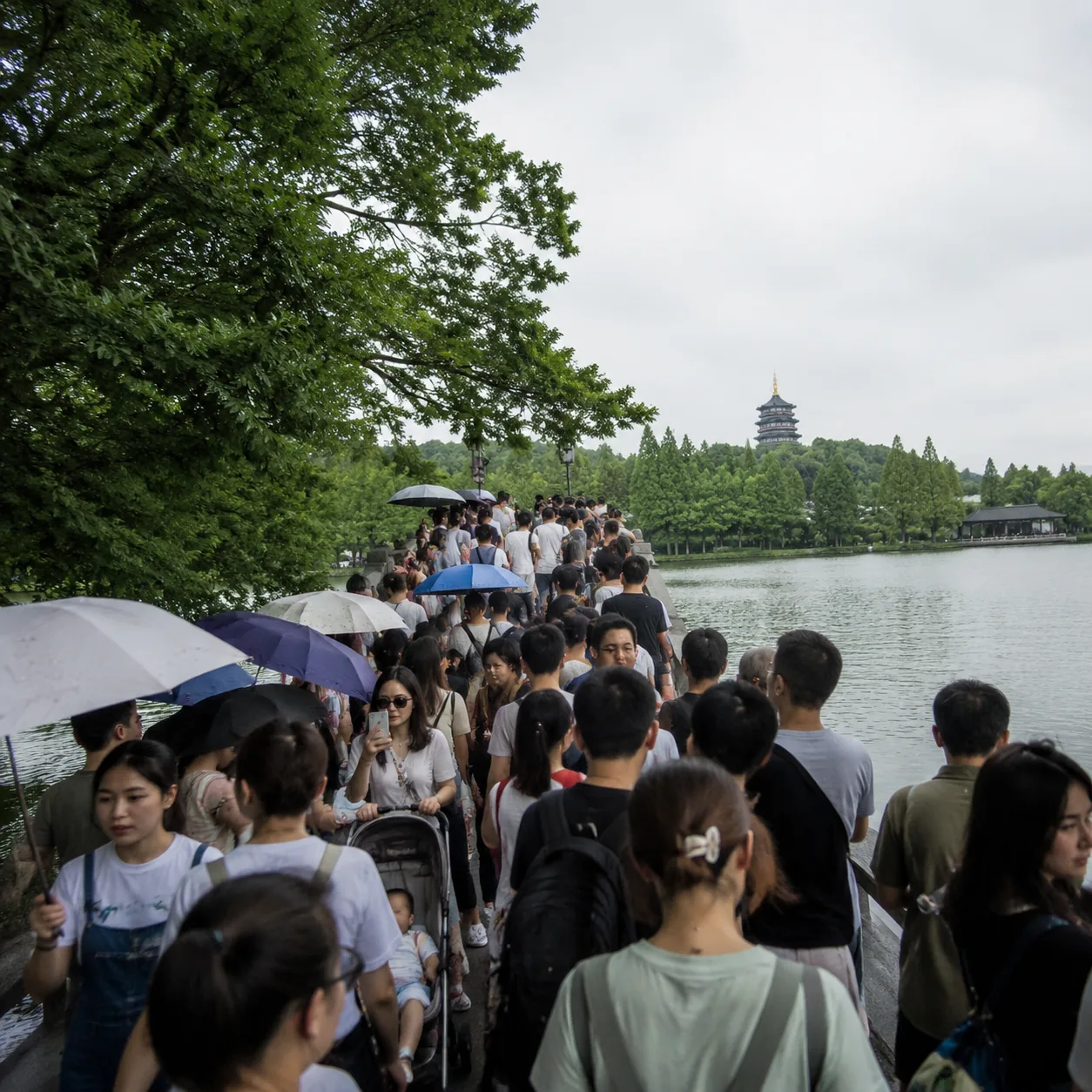 杭州西湖边那阵风，提醒我热门景区也要会躲人流