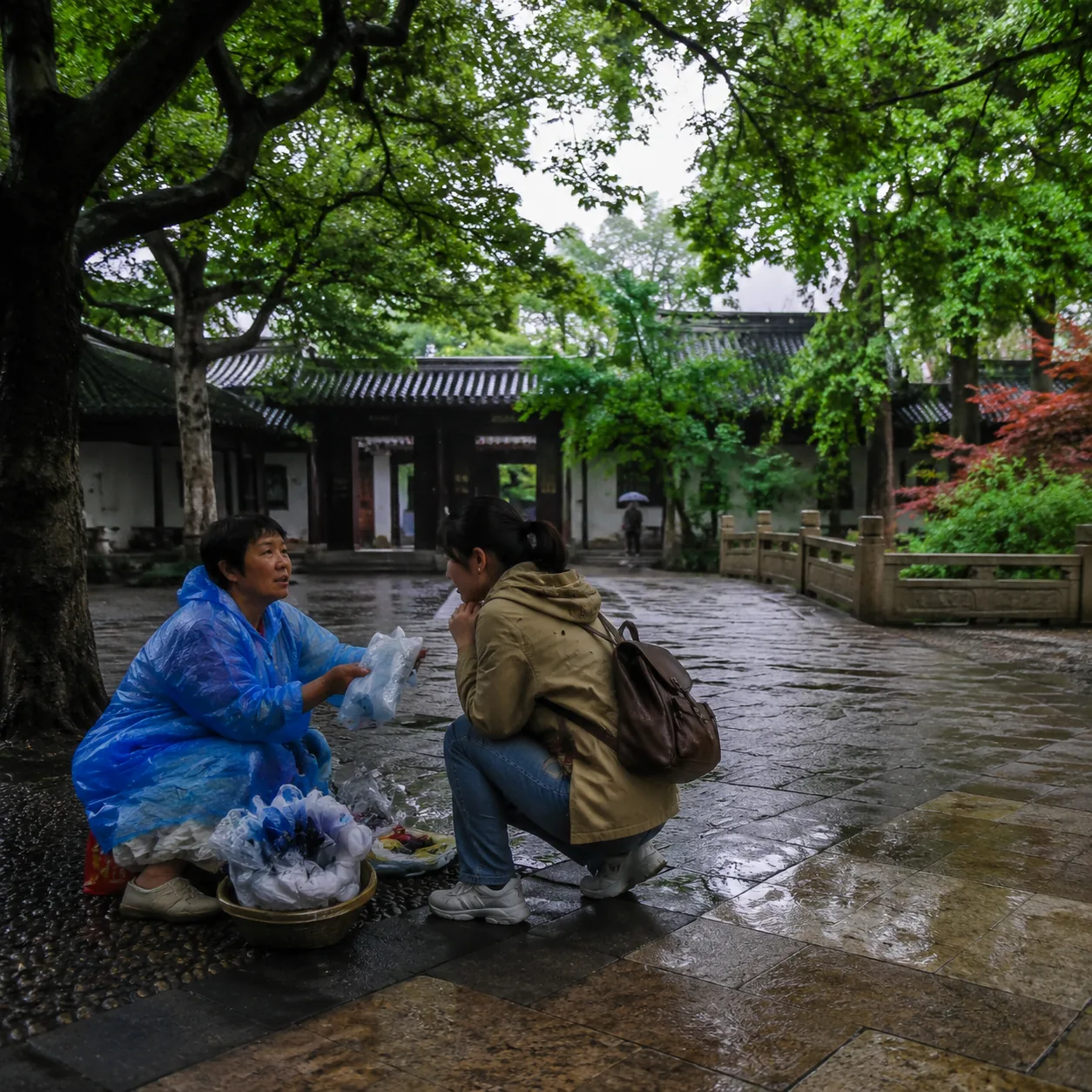 五月的苏州雨丝落进园林时，我一个人学会把行程放轻一点