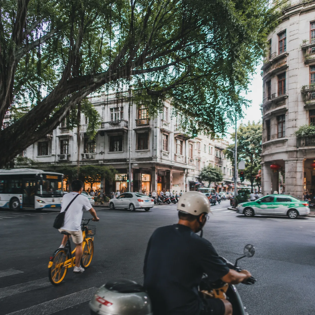 福州的榕树和路口一起告诉我，这座城是怎么往前走的