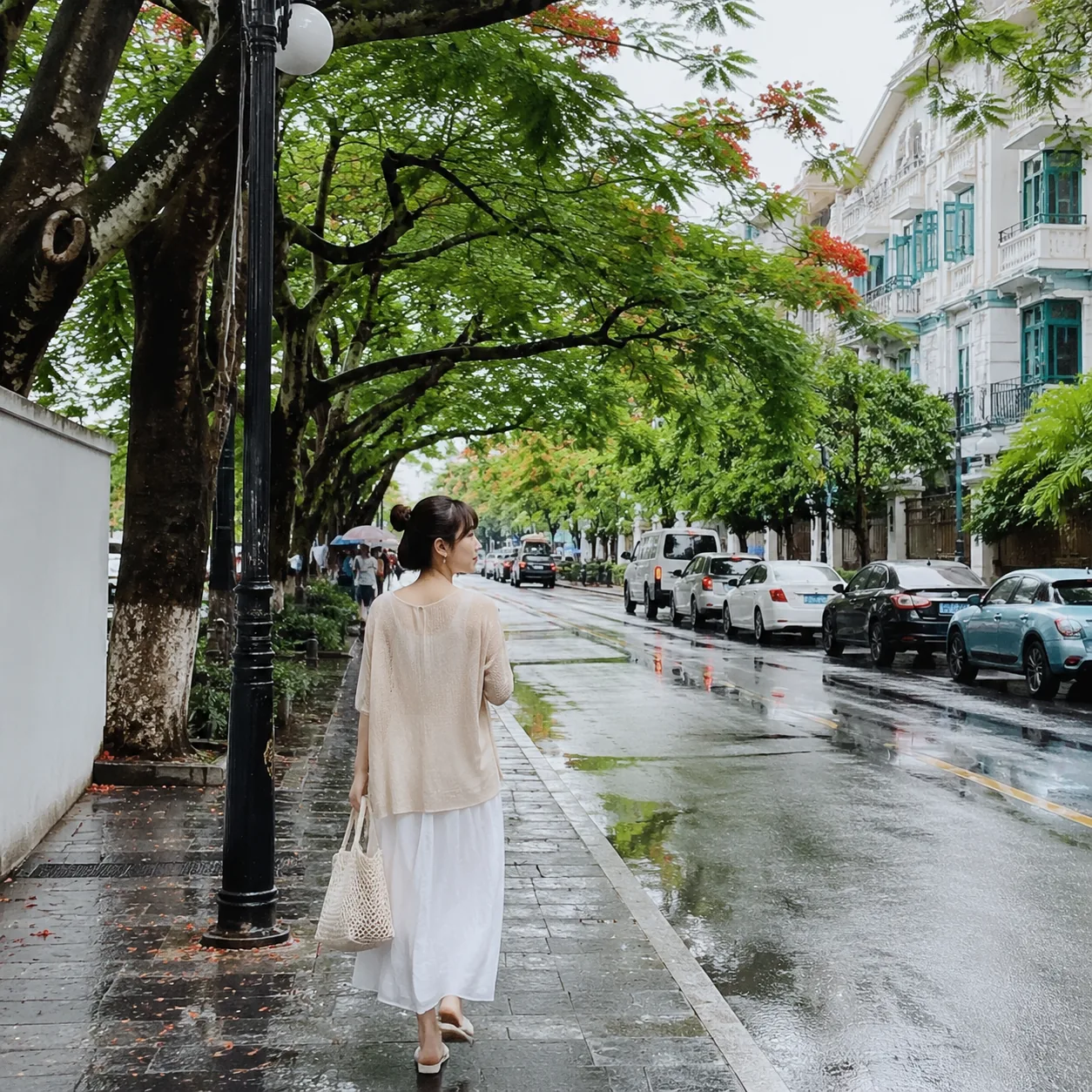 珠海雨停以后，凤凰木下那条不着急的路比海景更先留住人