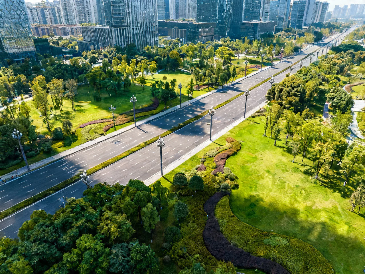 中国城市的绿色脉络：那些被树荫覆盖的街道