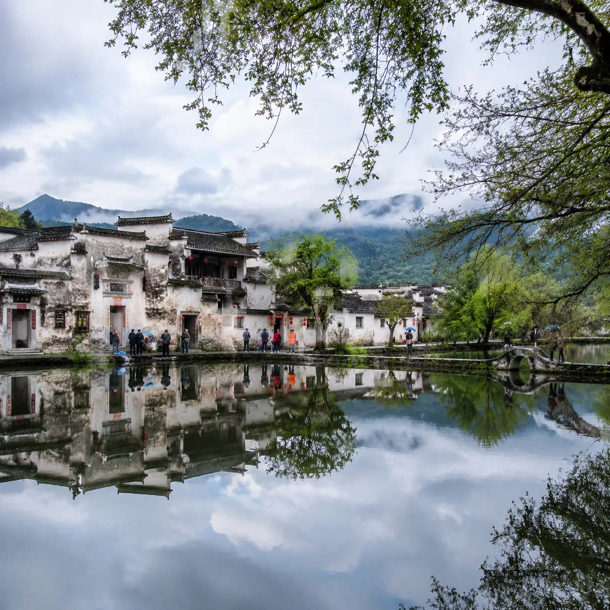 五月在婺源的雨后清晨，我跟着民宿老板去看一片刚亮起来的白墙黑瓦