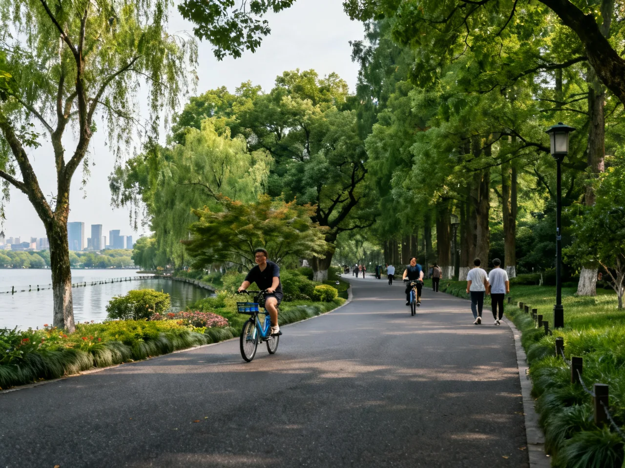 从灰色水泥到绿荫长廊：中国城市道路绿化的二十年蜕变