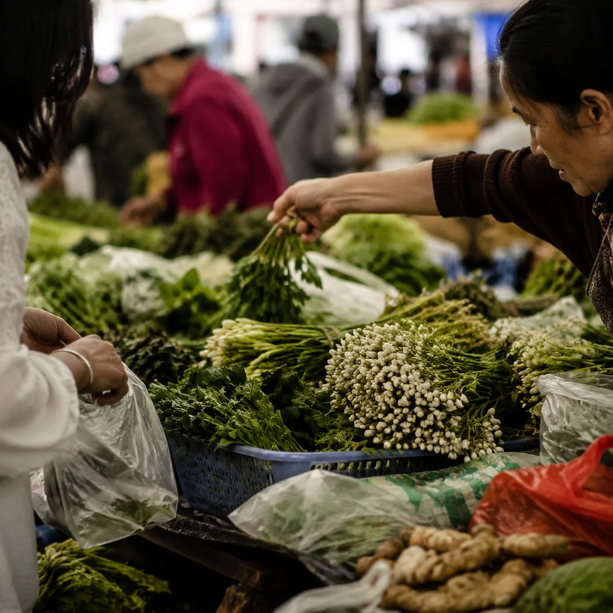 昆明菜市场里的花和菜，让我重新认识日常审美
